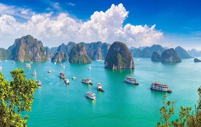 Lịch trình Hạ Long 2 ngày 1 đêm chi tiết mới nhất 2026